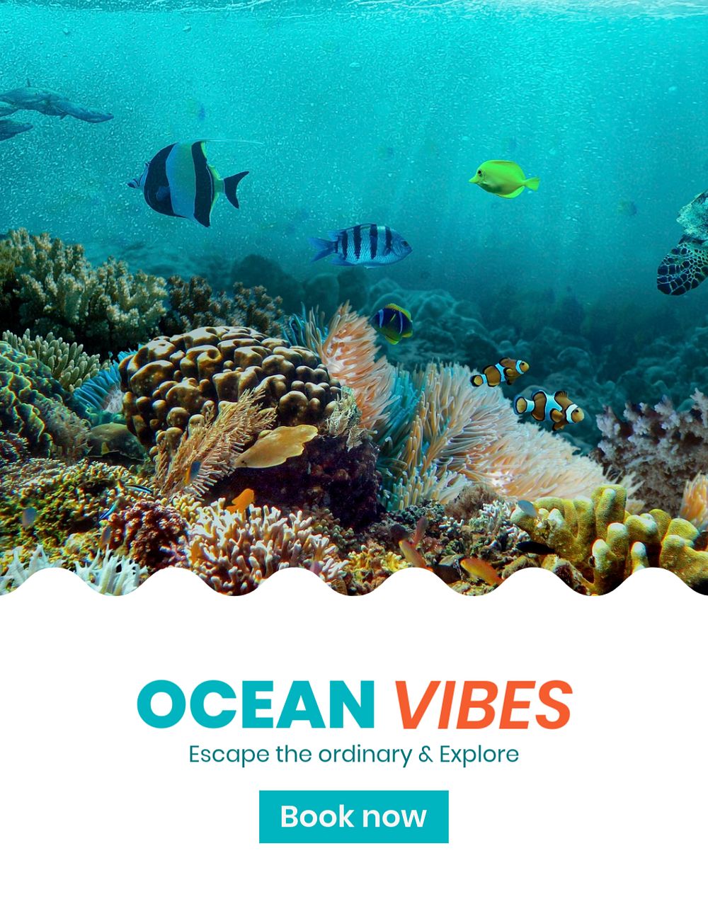 Ocean adventures flyer template, summer travel