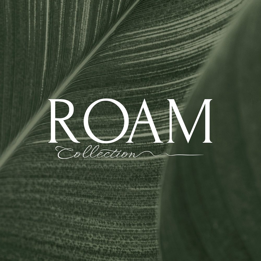 ROAM business logo editable template