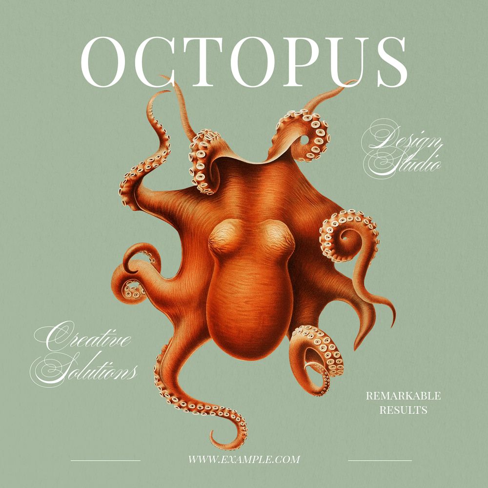 Octopus design studio post template, editable social media design