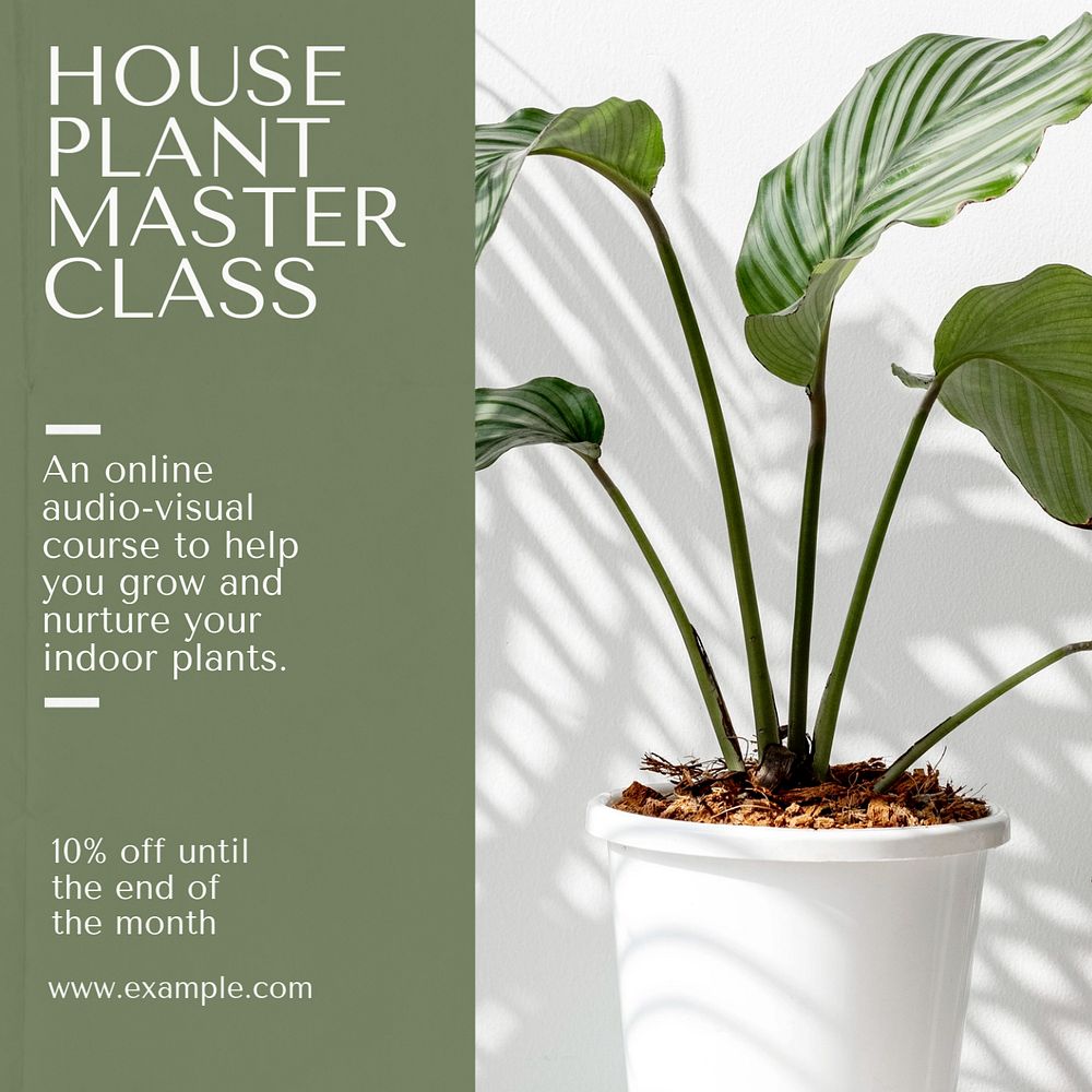 Houseplant masterclass Instagram post template, editable social media design