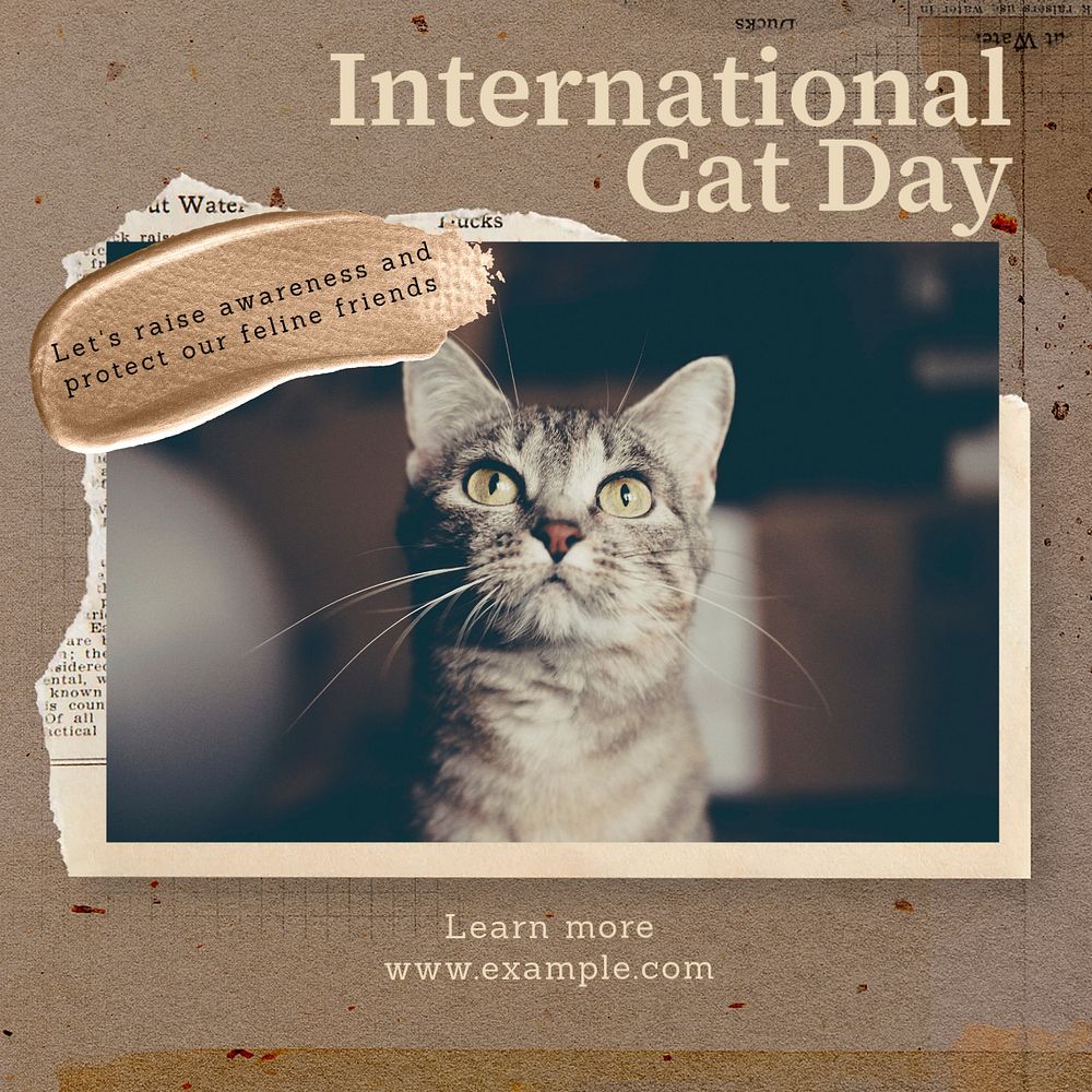 International cat day Instagram post template, editable text