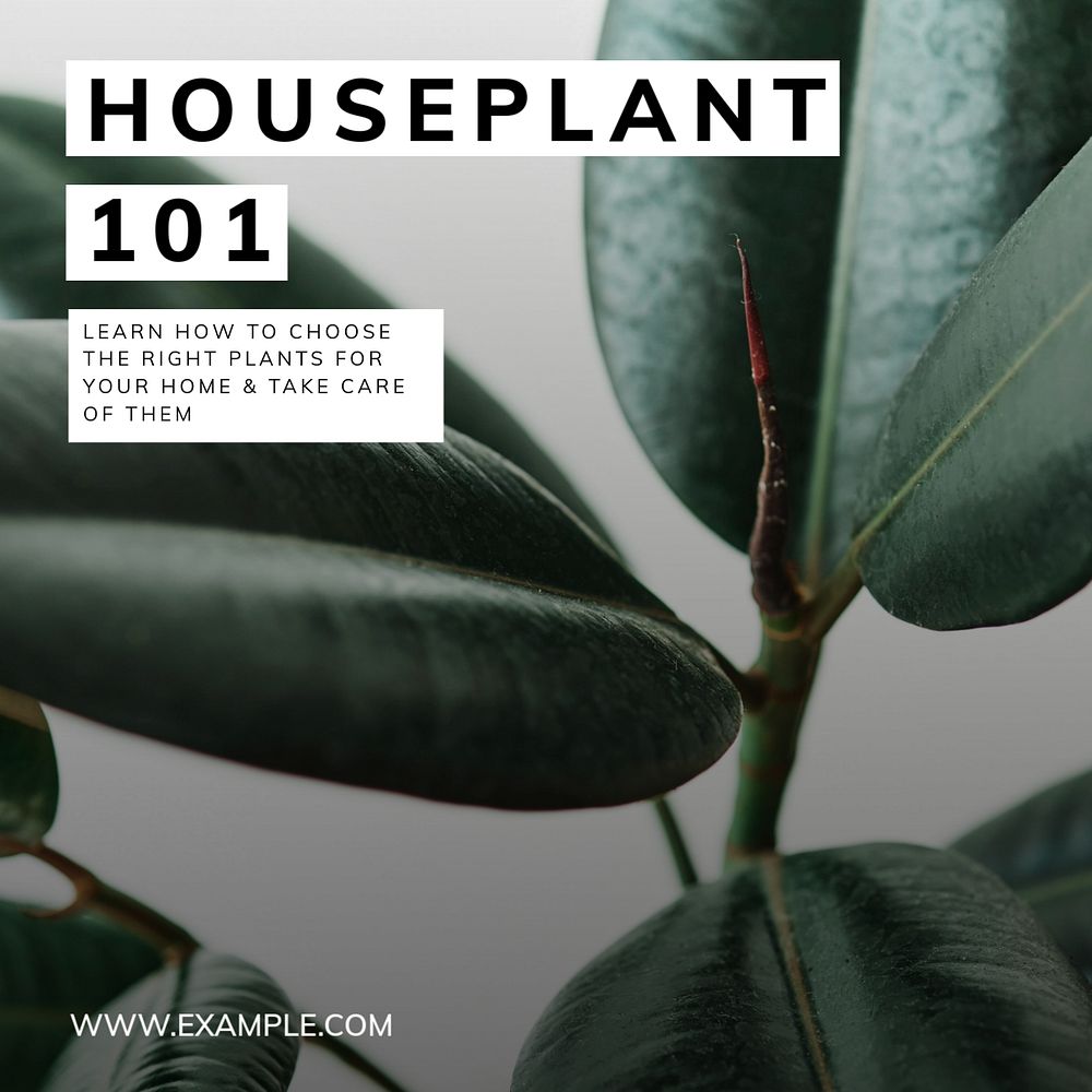 Houseplant Instagram post template, editable text