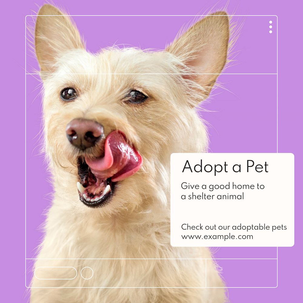 Adopt a pet Instagram post template, editable text