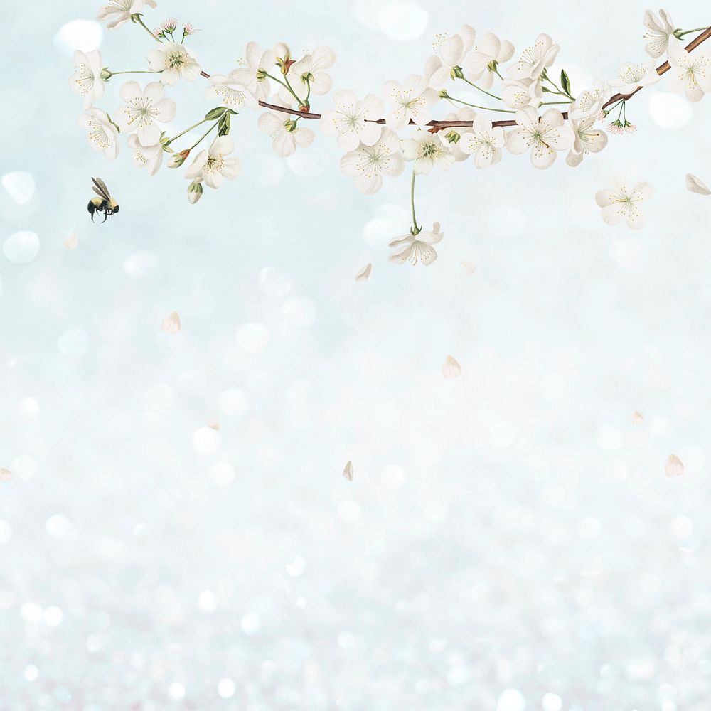 White flowers illustration, spring aesthetic, editable design