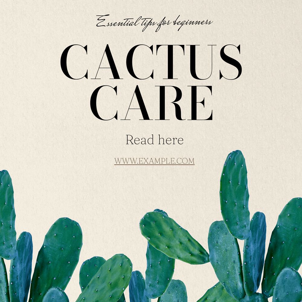 Cactus care Instagram post template, editable text