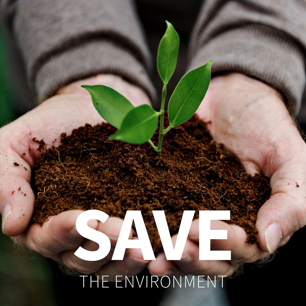 Save the environment template, social media post with young plant in hands