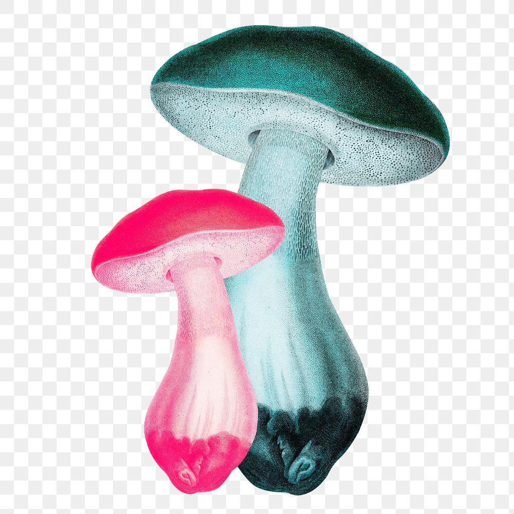 Editable neon mushrooms png on transparent background