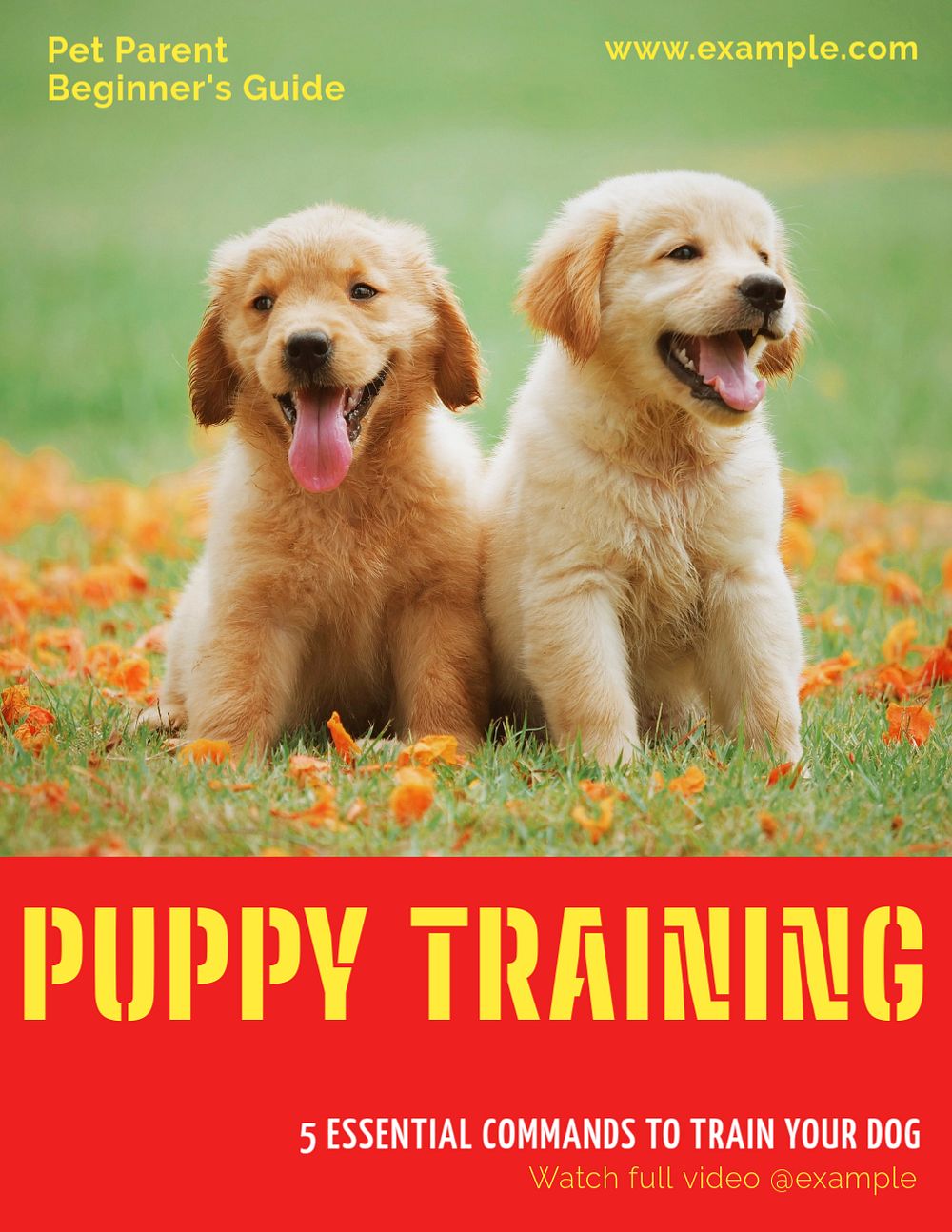 Dog training flyer template, editable ad