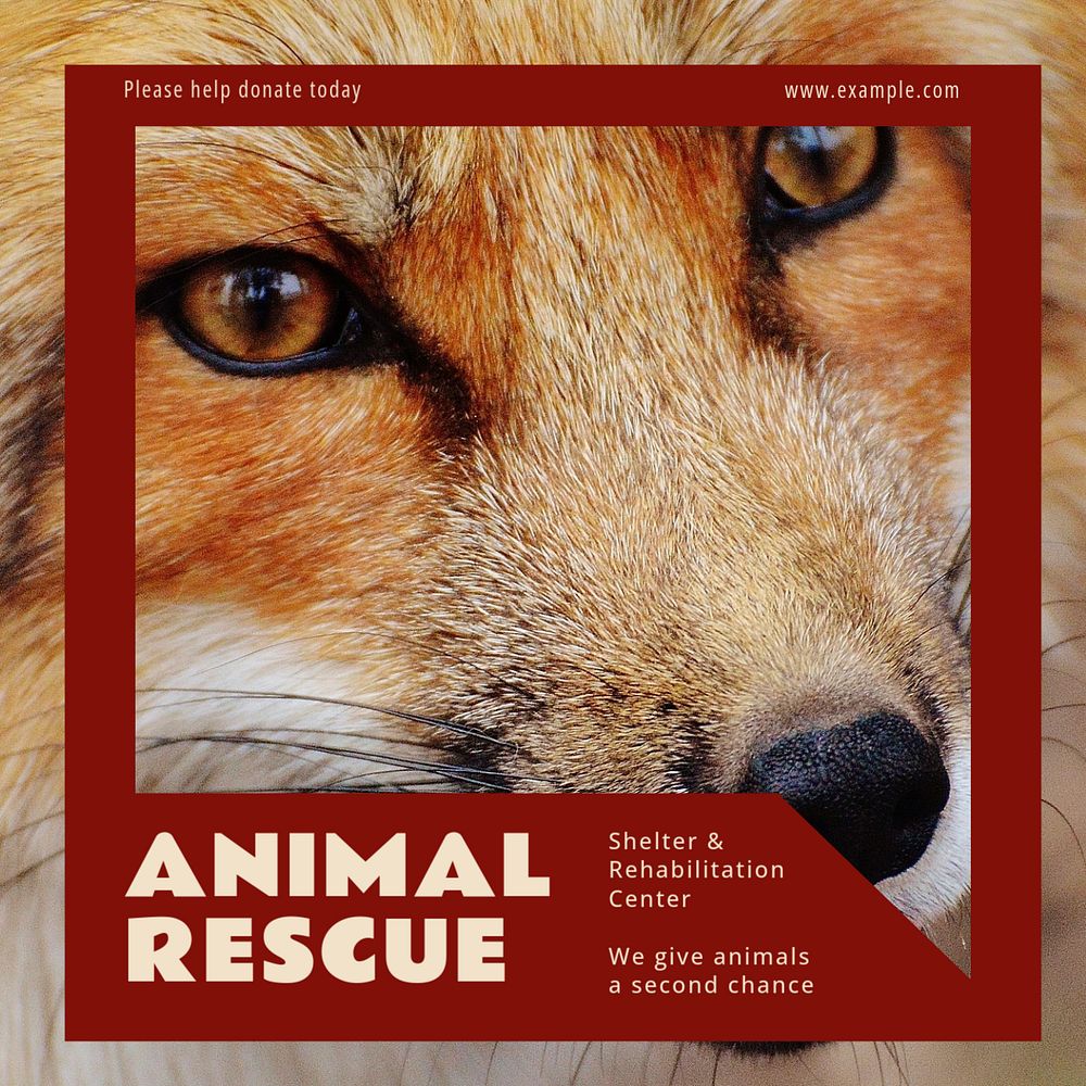 Animal rescue Instagram post template, editable design