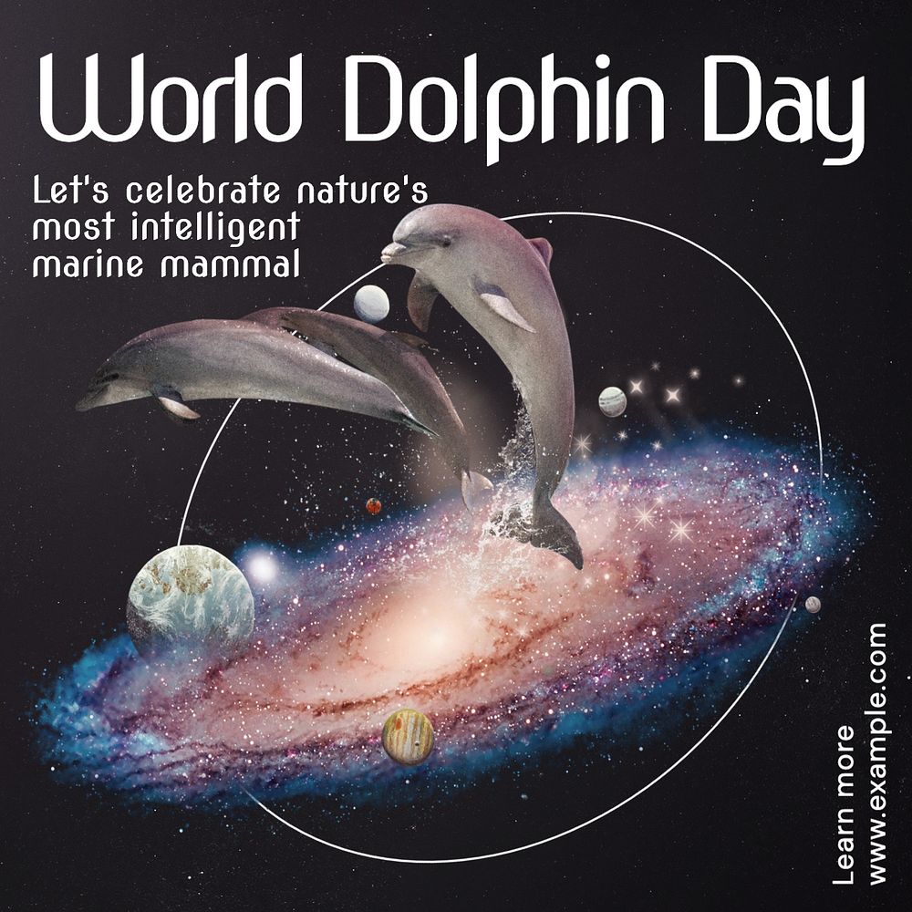 World dolphin day Instagram post template, editable text