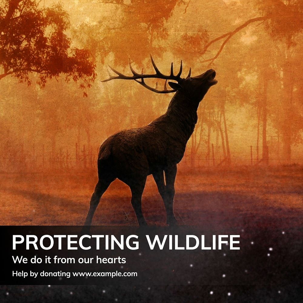 Wildlife charity Instagram post template, editable text