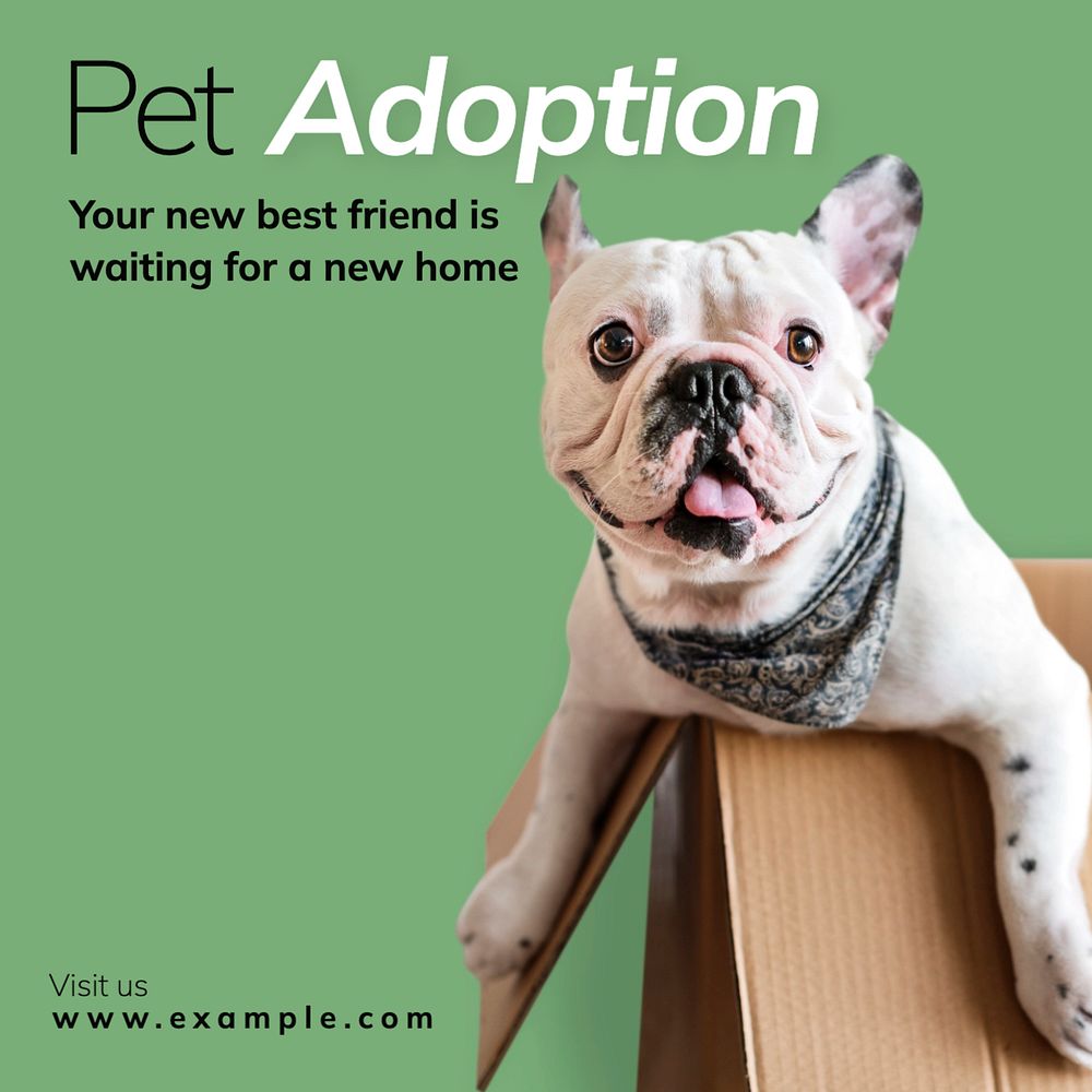 Pet adoption Instagram post template, editable text