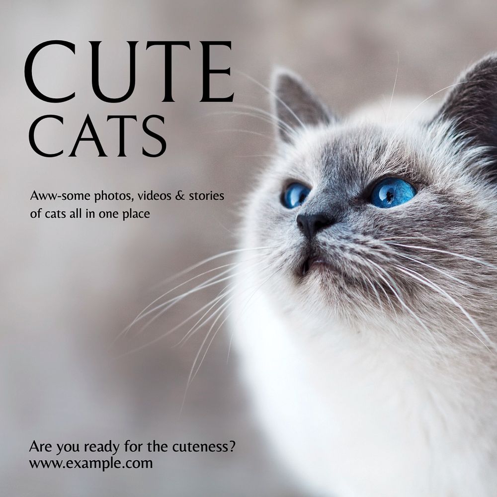 Cute cats Instagram post template, editable text