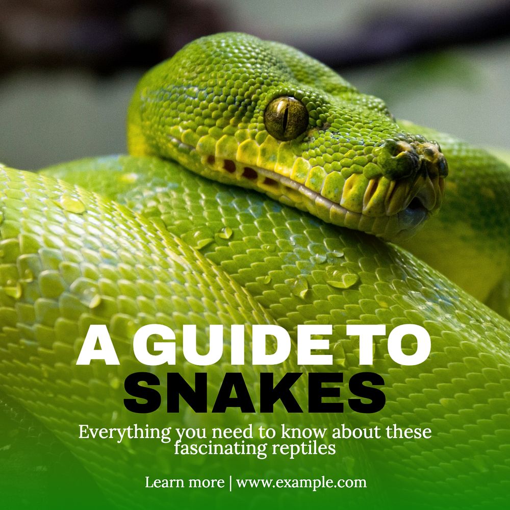 Snake guide Instagram post template, editable text