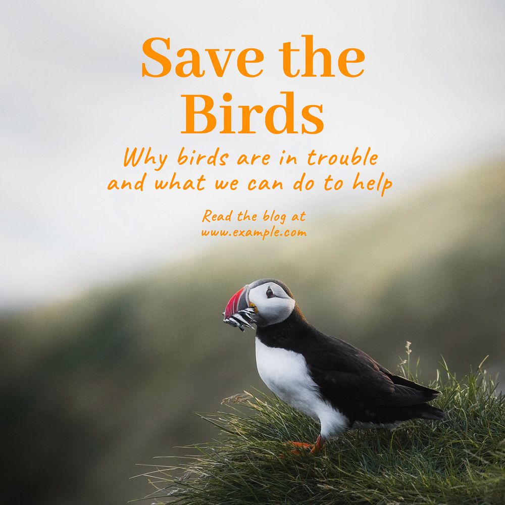 Save the birds Instagram post template, editable text