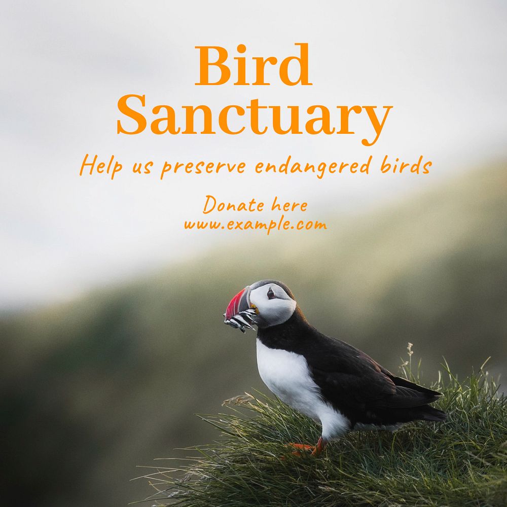 Bird sanctuary Instagram post template, editable text