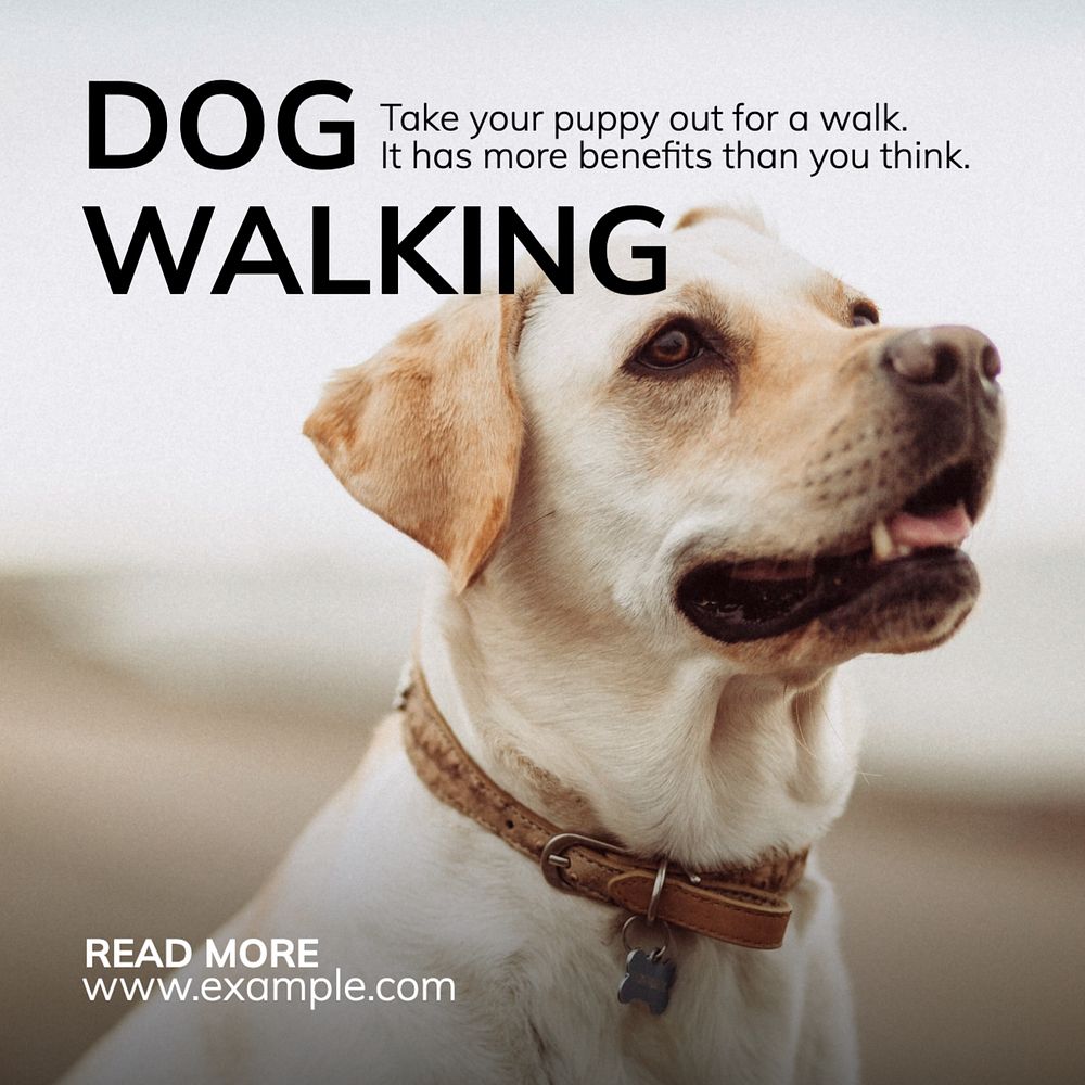 Dog walking benefits Instagram post template, editable text