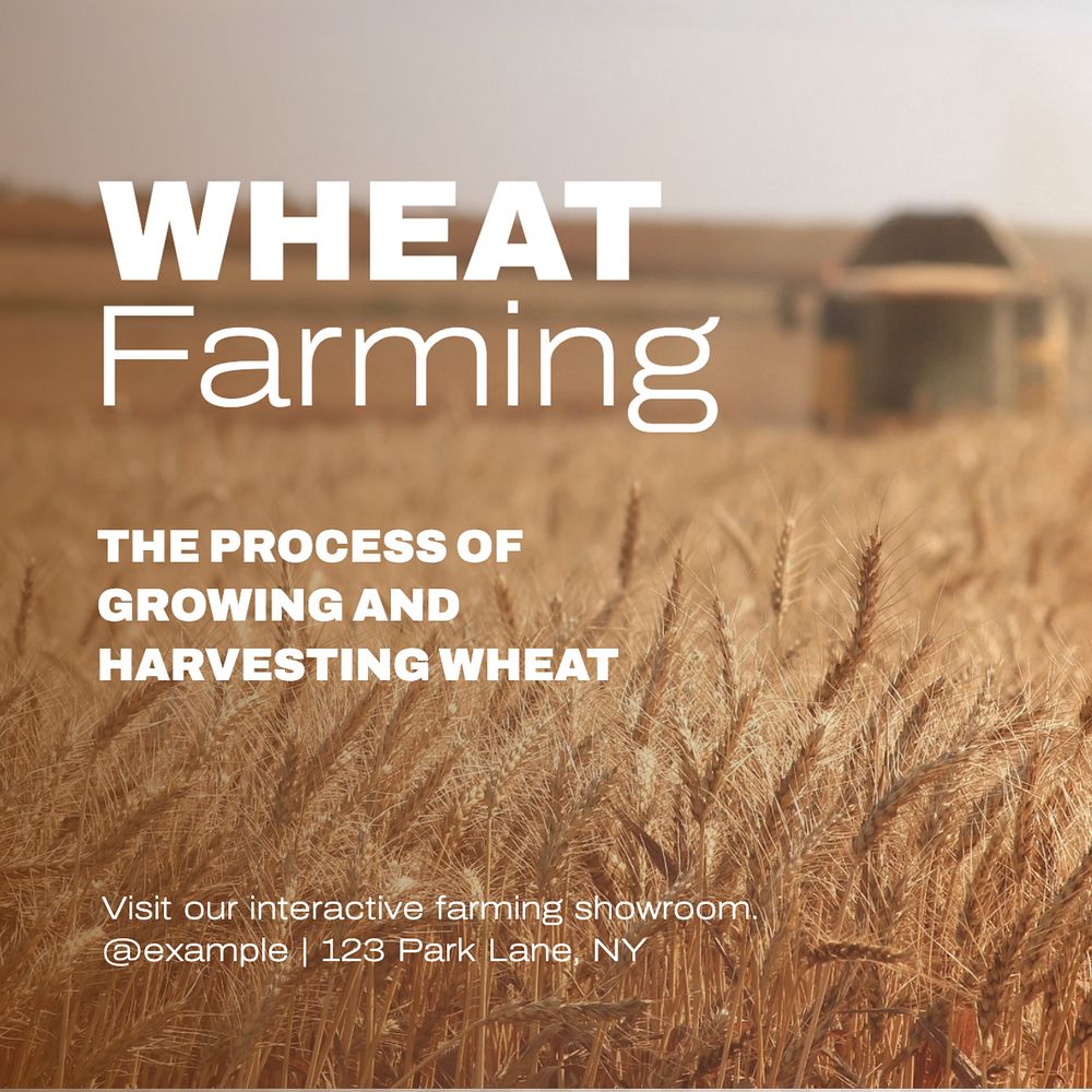 Wheat farming Instagram post template, editable text