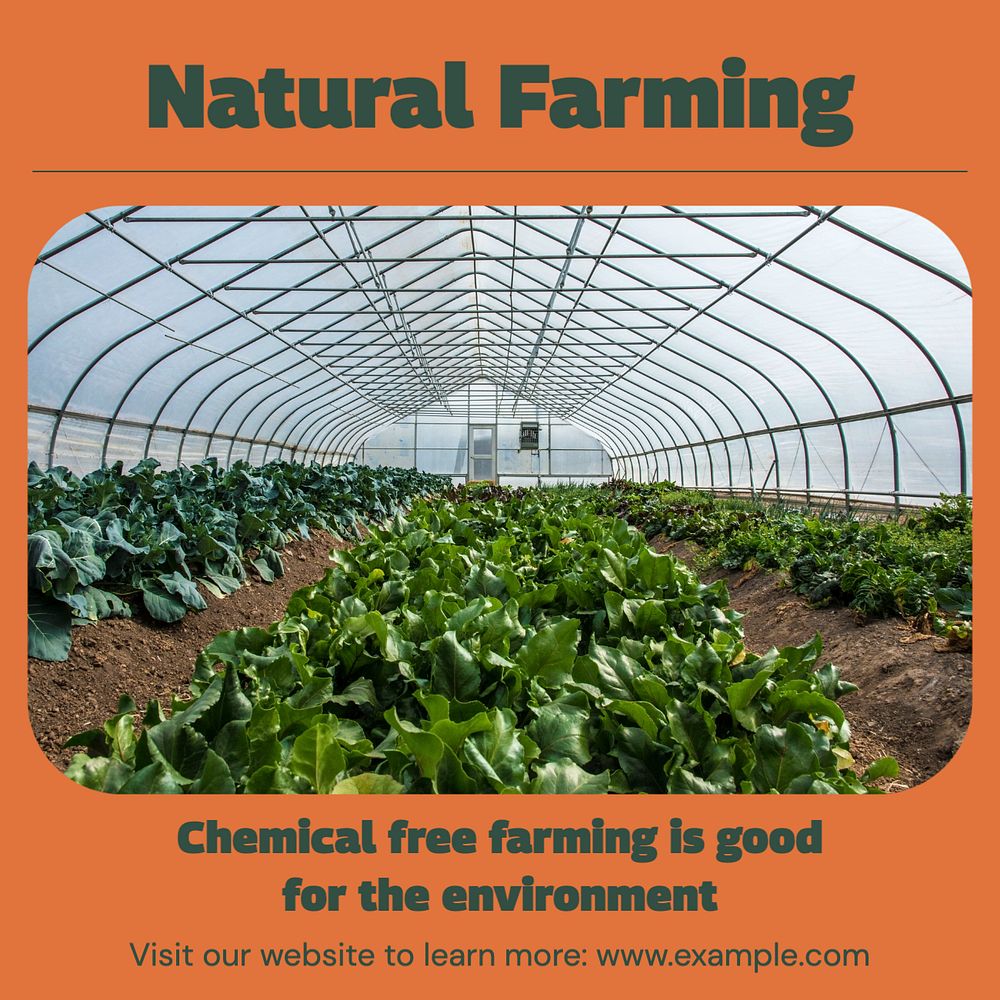 Organic farming Instagram post template, editable text