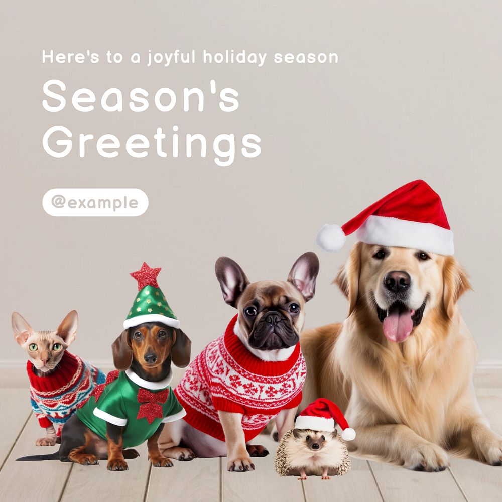 Season's greetings Instagram post template, editable text