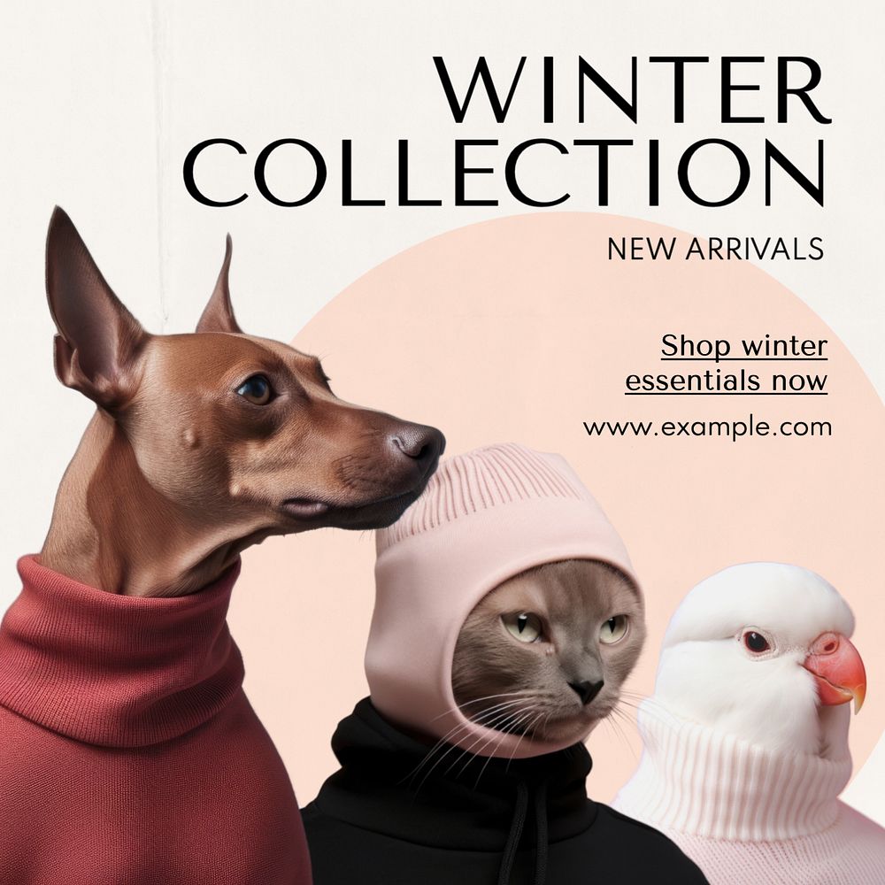 Winter collection Instagram post template, editable text