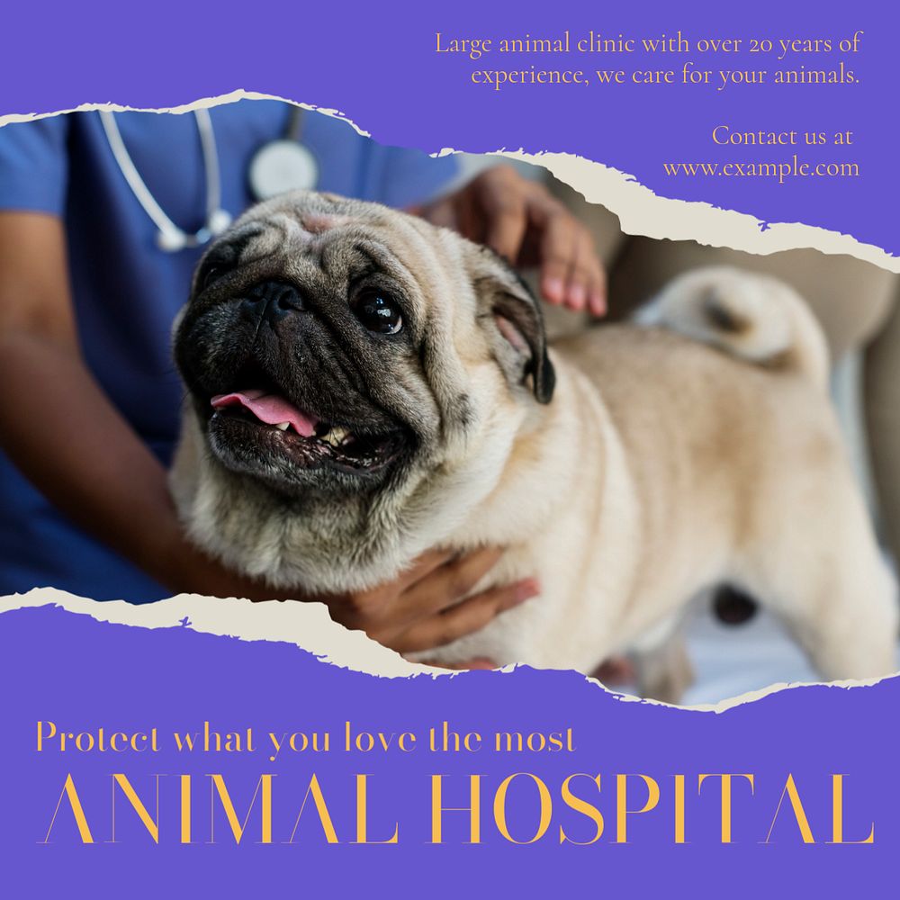 Veterinary clinic Instagram post template, editable text