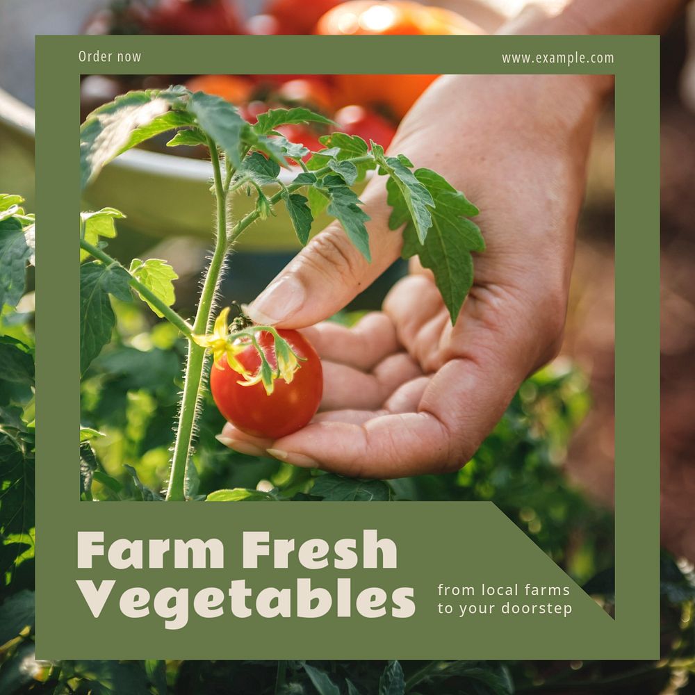 Farm fresh vegetables Instagram post template, editable text