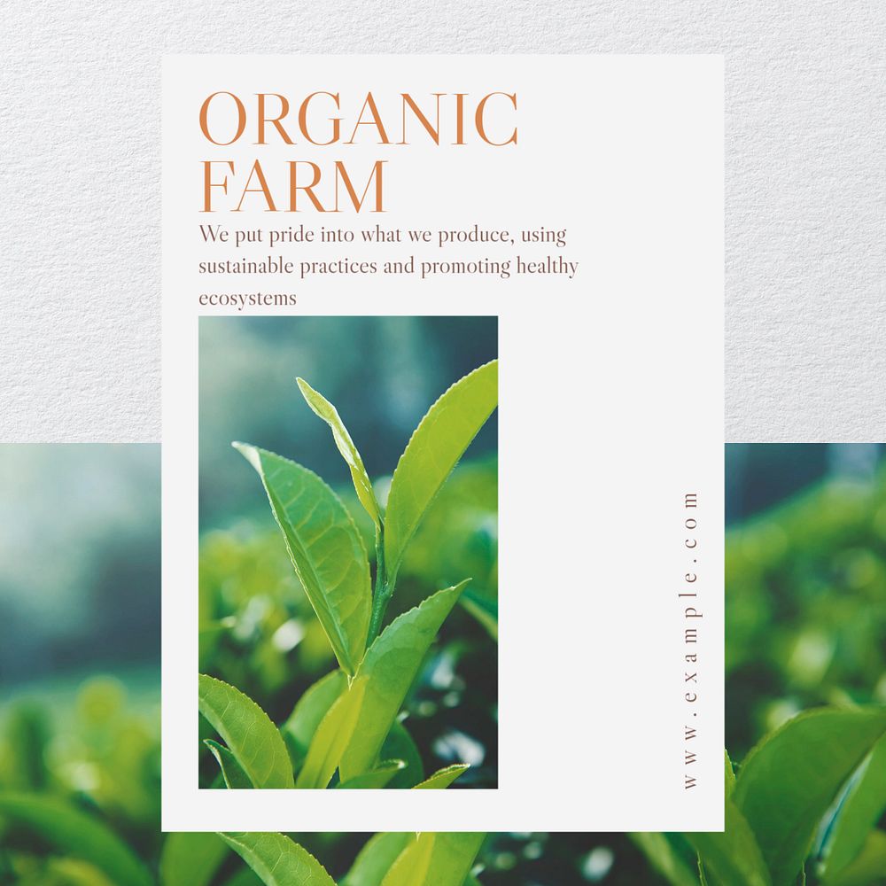 Organic farm Instagram post template, editable text