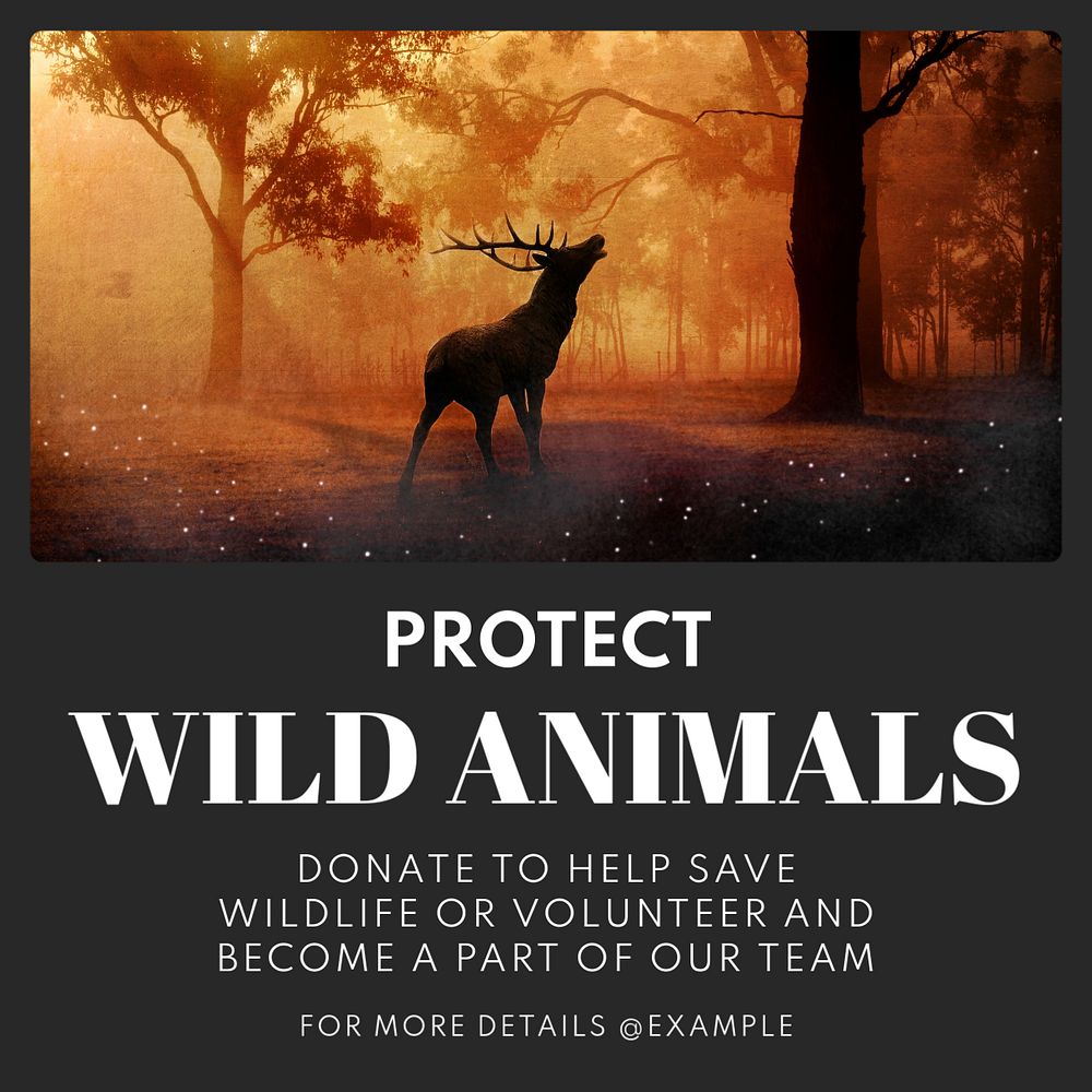 Protect wild animals Instagram post template, editable text