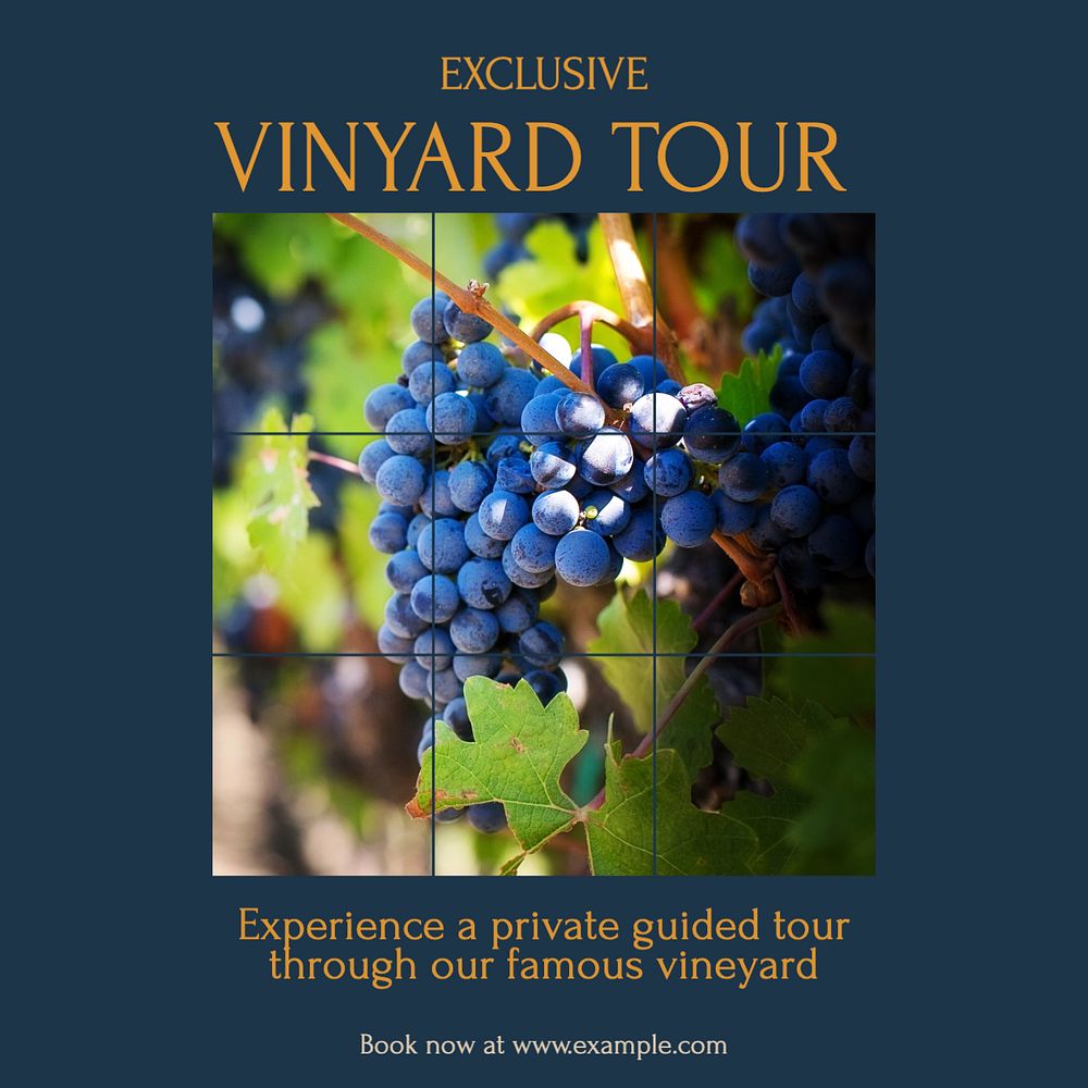 Vineyard tour Instagram post template, editable text