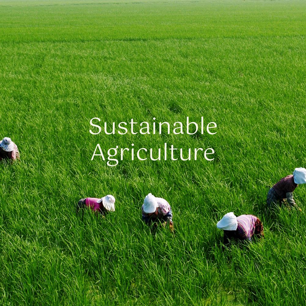 Sustainable agriculture Instagram post template, editable text