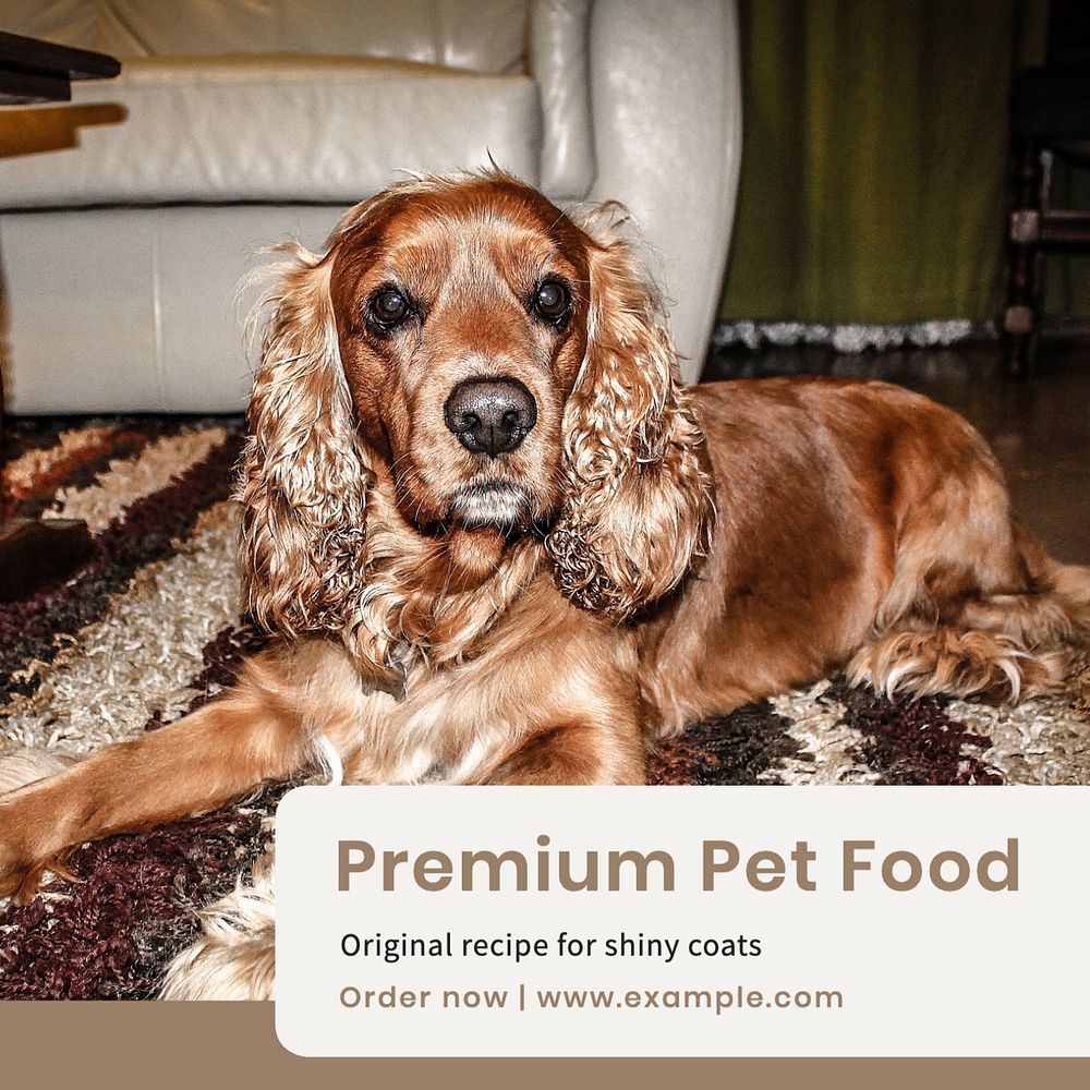 Premium pet food Instagram post template, editable text