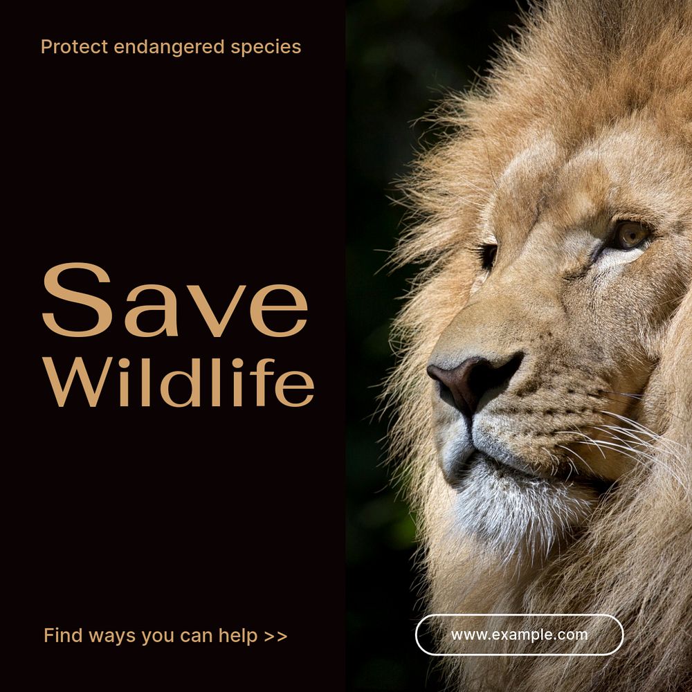 Save wildlife  Instagram post template, editable text