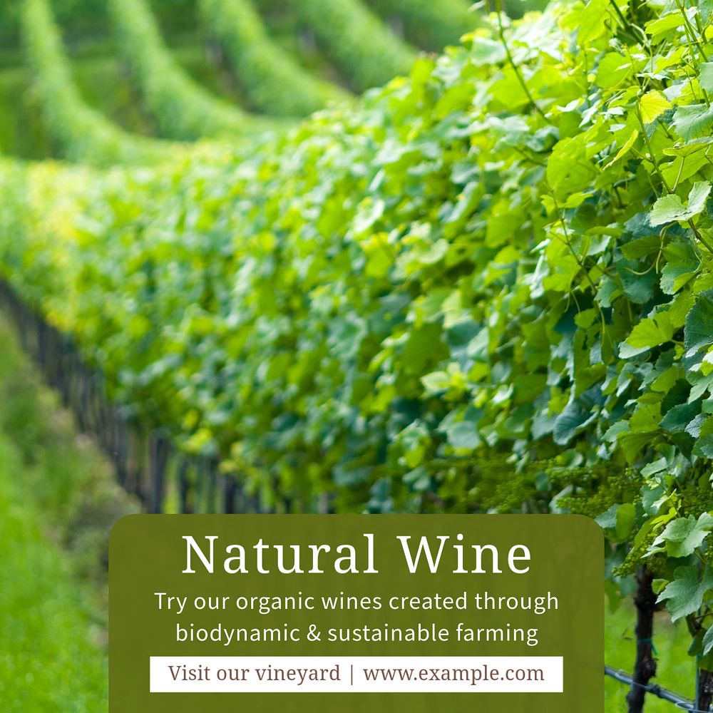 Natural wine Instagram post template, editable text