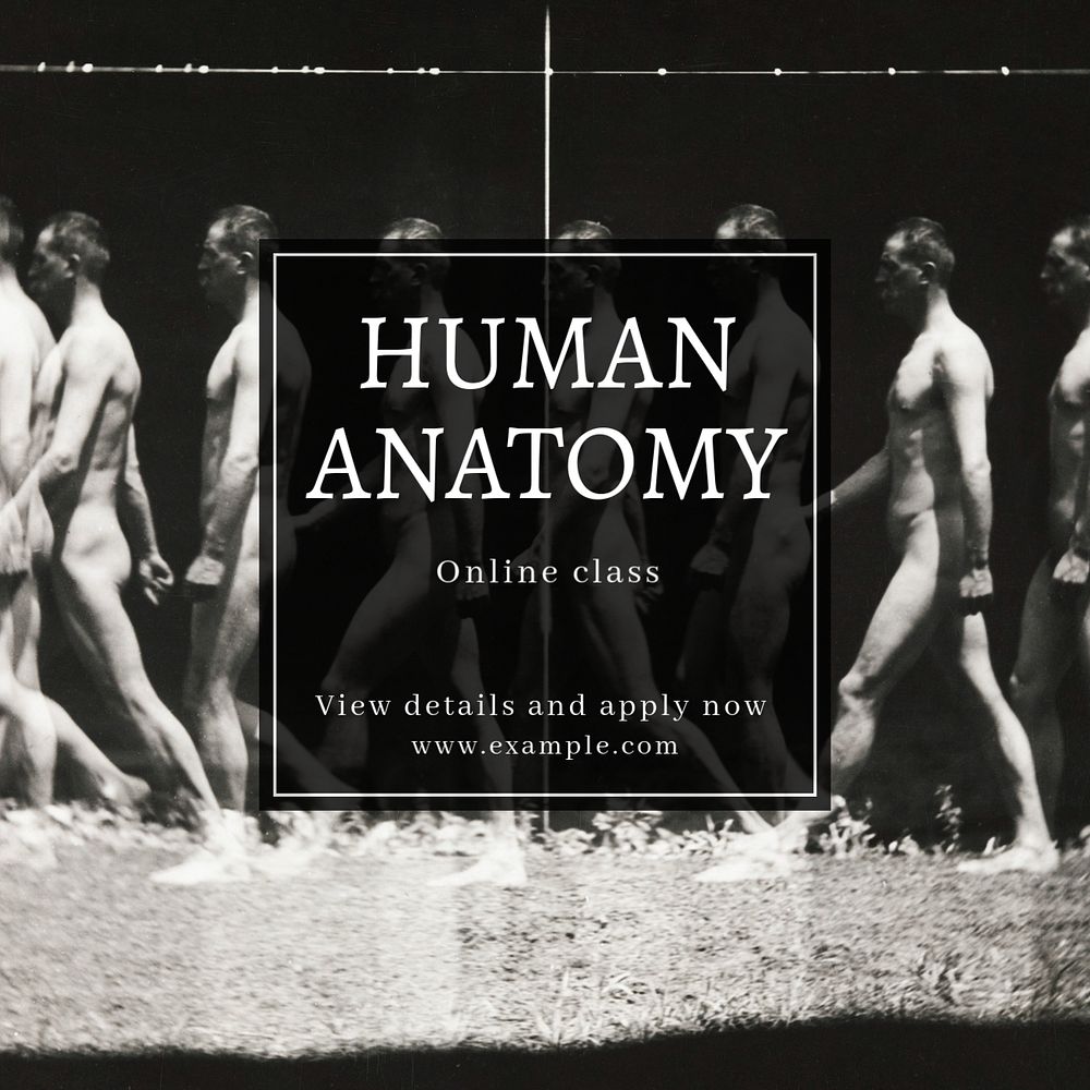 Human anatomy Instagram post template, editable text