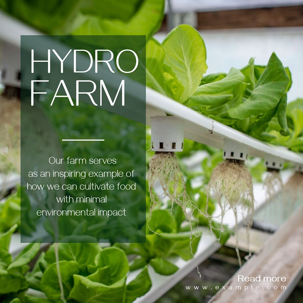 Hydro farm Instagram post template, editable text