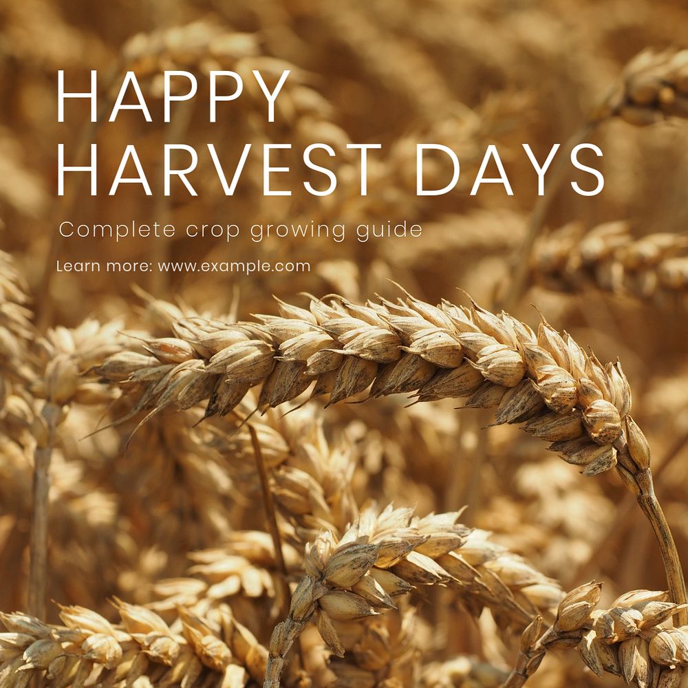 Harvest Instagram post template, editable text