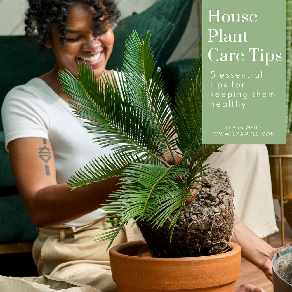 House plant care Instagram post template, editable text