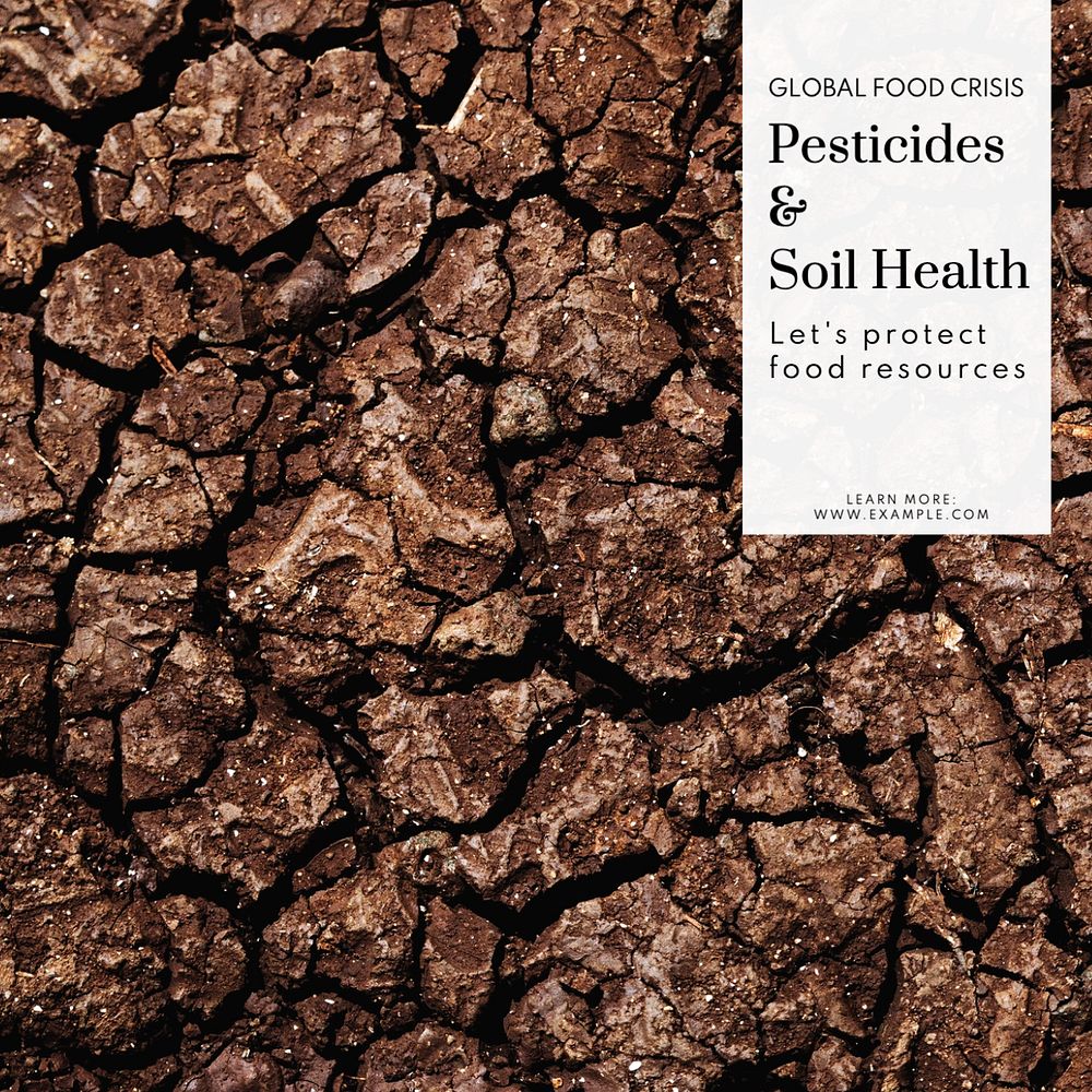 Pesticides & soil health Instagram post template, editable text