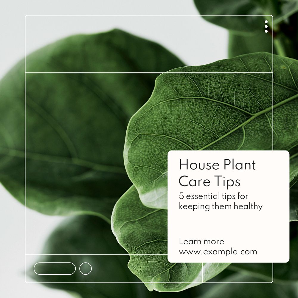 House plant care Instagram post template, editable text