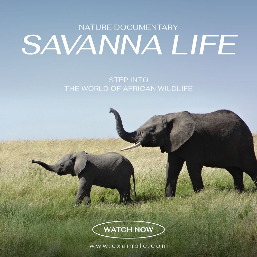 Savanna life Instagram post template, editable text