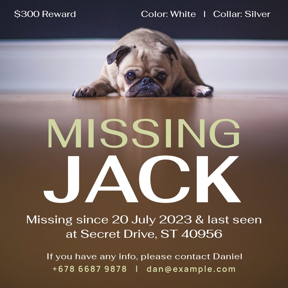 Missing pet Instagram post template, editable text