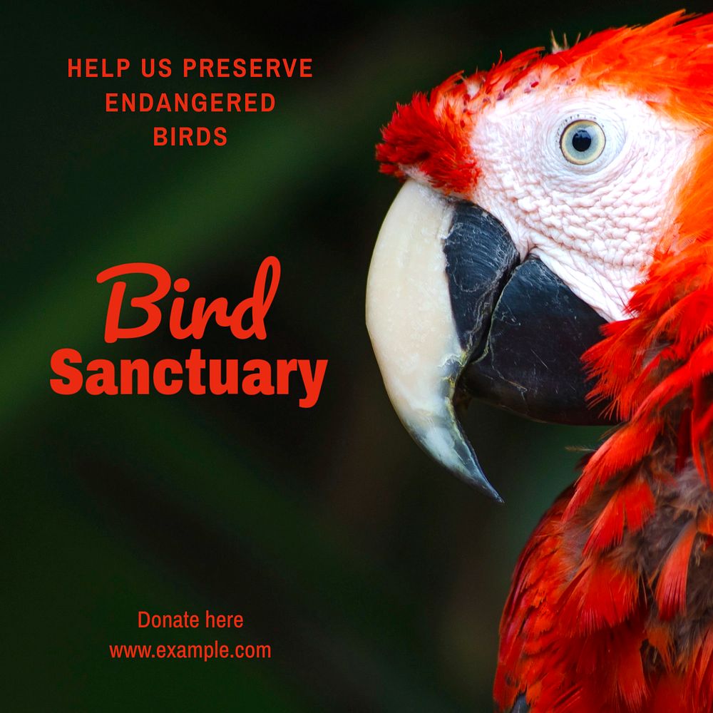 Bird sanctuary Instagram post template, editable text