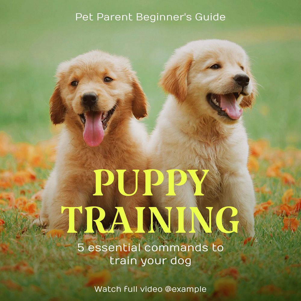 Dog training Instagram post template, editable text