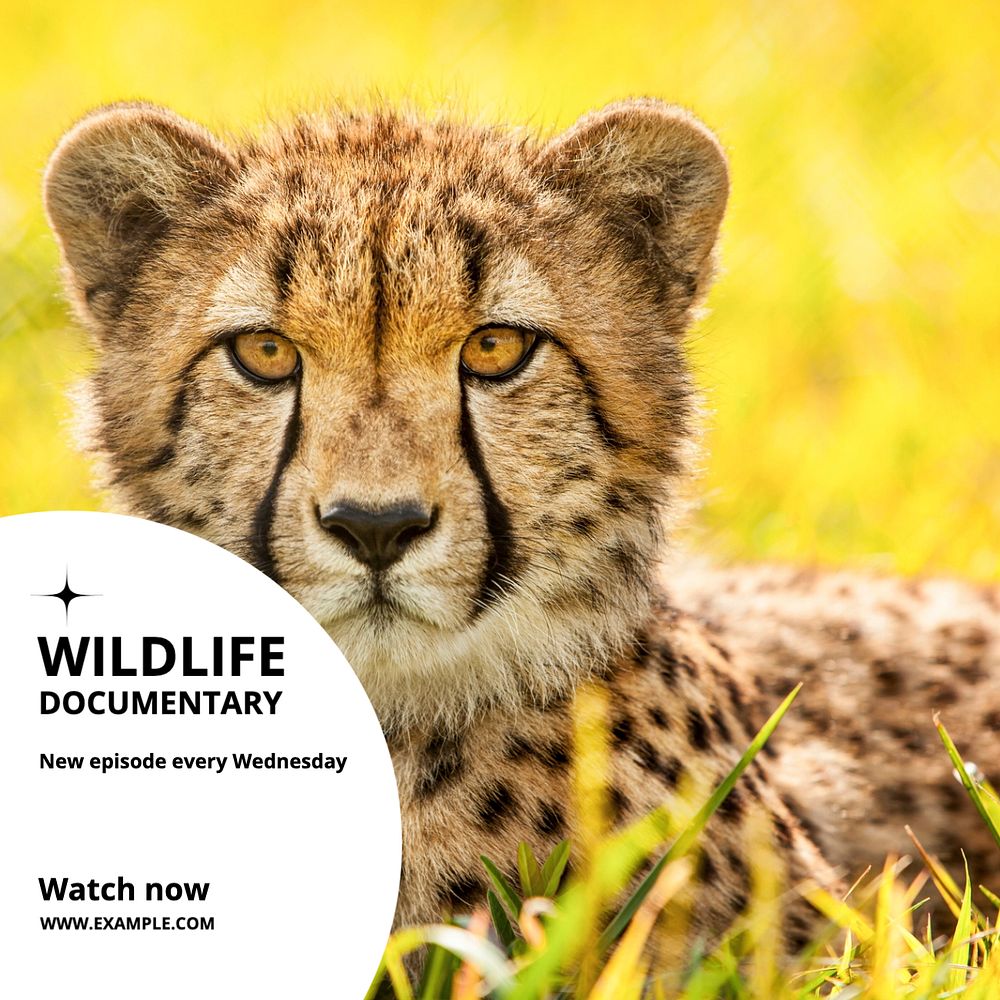 Wildlife documentary