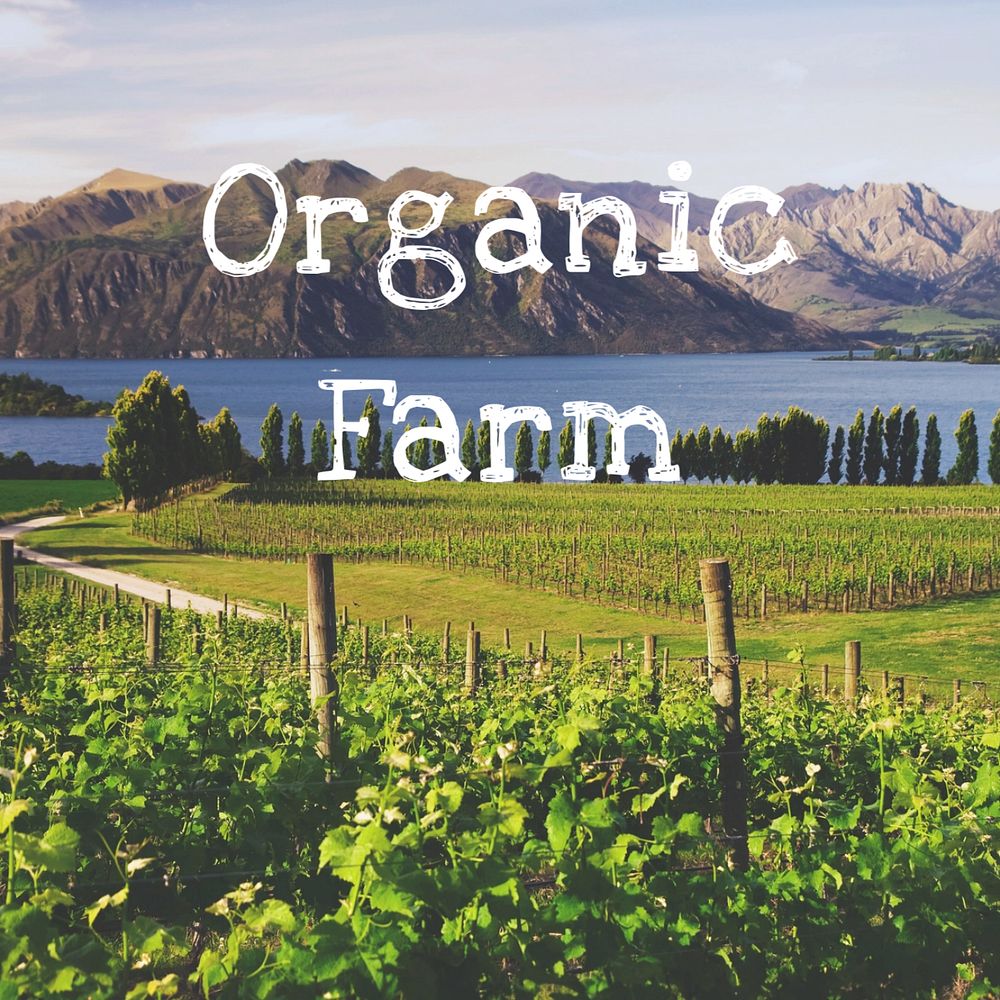 Organic farm Instagram post template, editable text