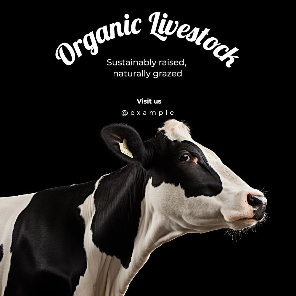 Organic livestock Instagram post template, editable text