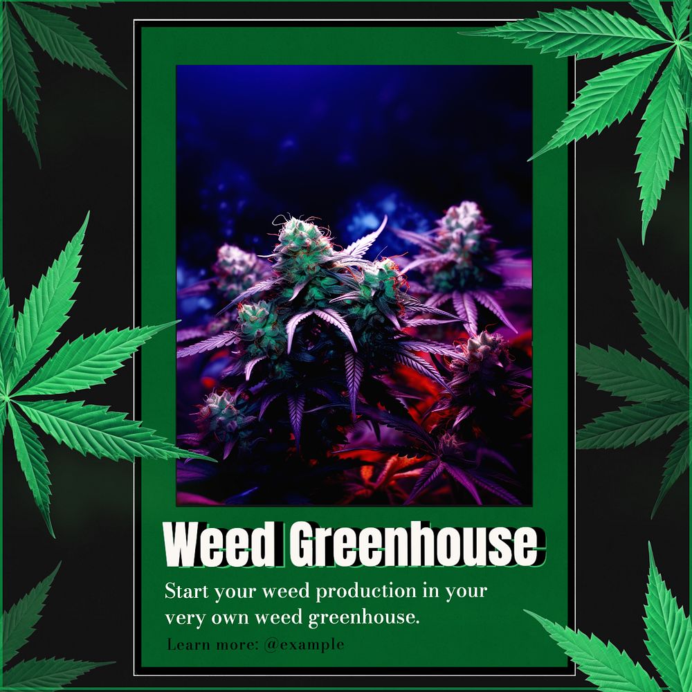 Weed greenhouse Instagram post template, editable text