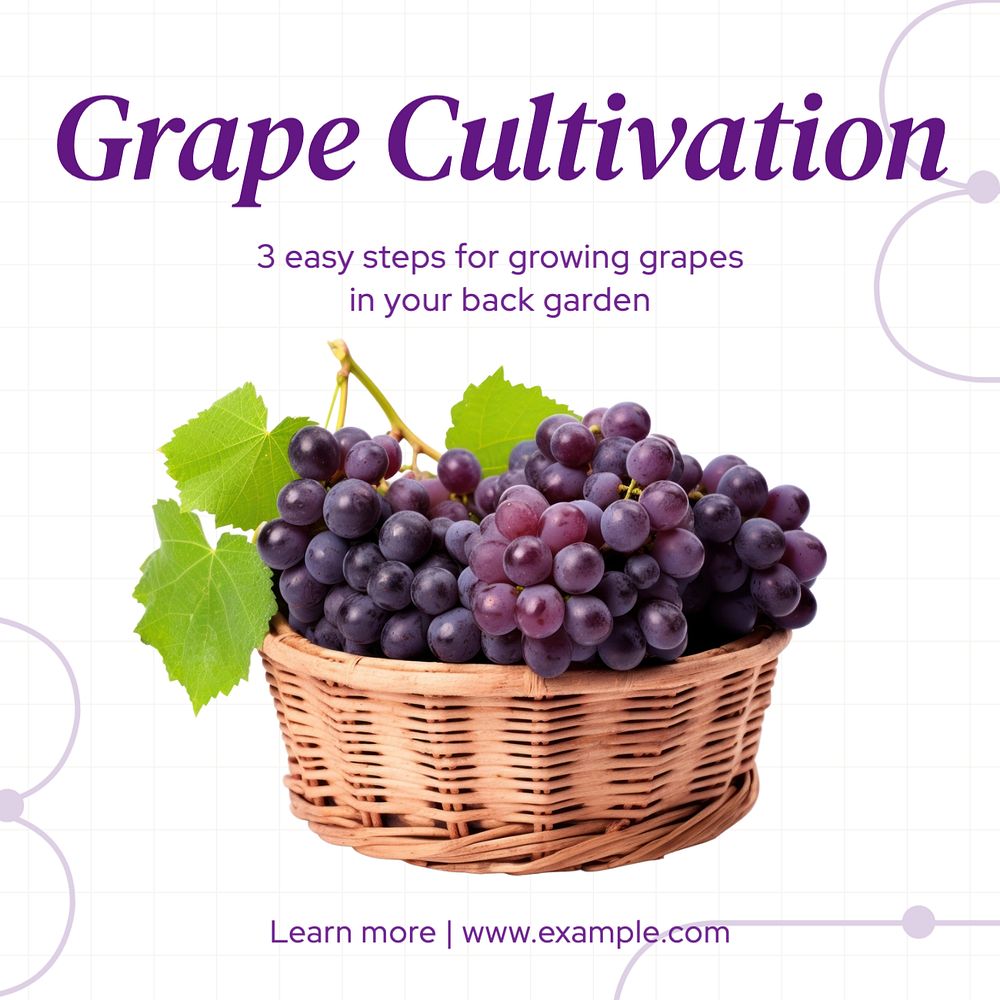 Grape cultivation Instagram post template, editable text