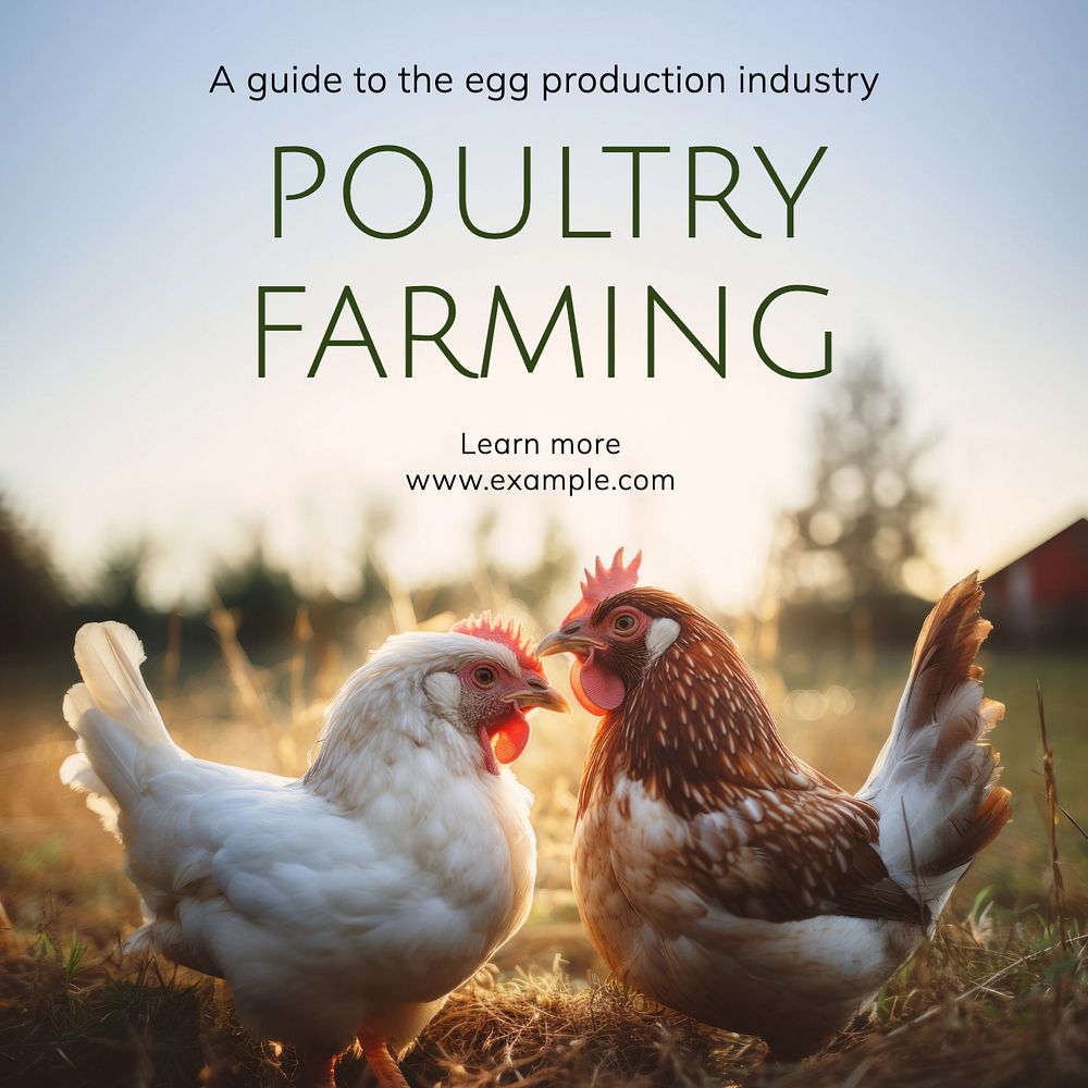 Poultry farming Instagram post template, editable text